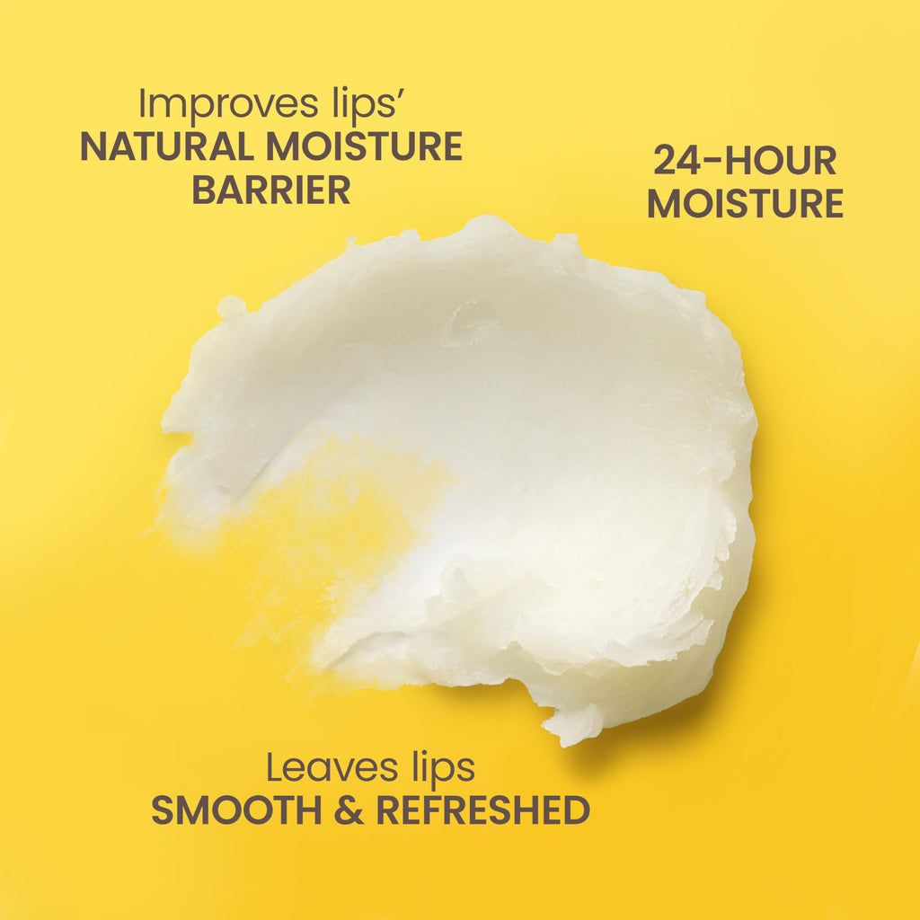 Burt's Bees Lip Balm, Pomegranate, Lip Moisturizer With Responsibly Sourced Beeswax, Tint-Free, Natural Conditioning Treatment, 1 Tube, 0.15 oz.