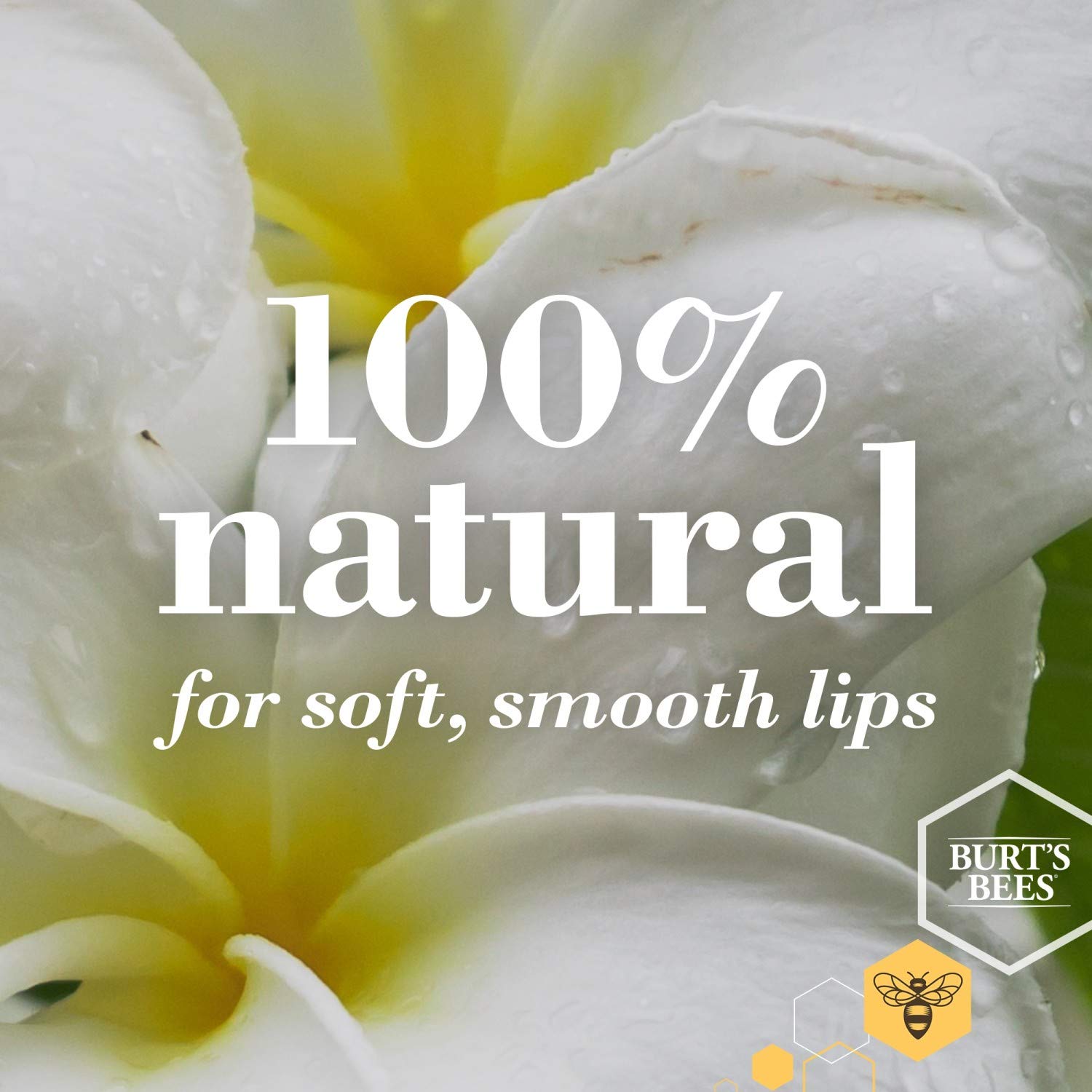 Burt's Bees Lip Balm, Pomegranate, Lip Moisturizer With Responsibly Sourced Beeswax, Tint-Free, Natural Conditioning Treatment, 1 Tube, 0.15 oz.
