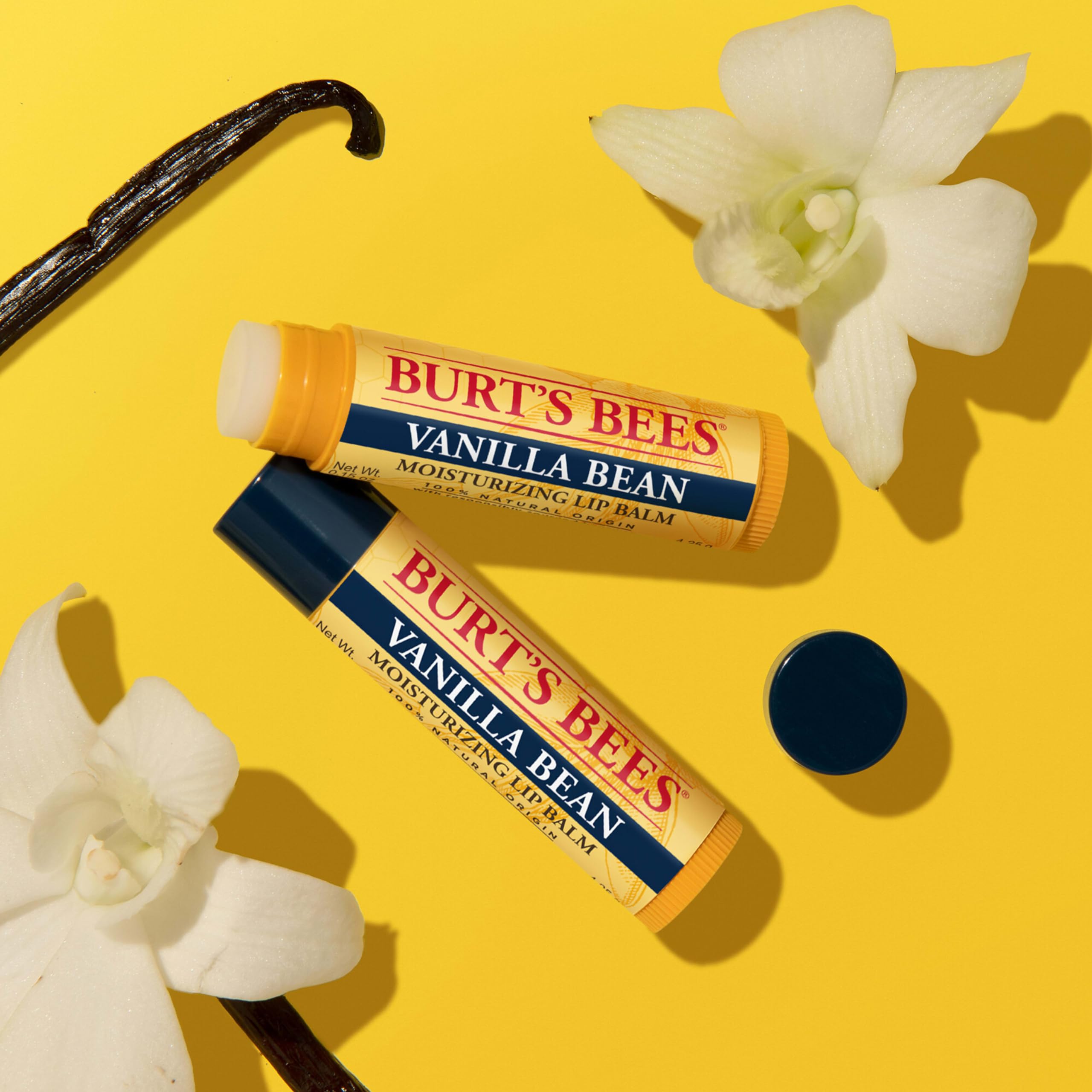 Burt's Bees Lip Balm, Pomegranate, Lip Moisturizer With Responsibly Sourced Beeswax, Tint-Free, Natural Conditioning Treatment, 1 Tube, 0.15 oz.